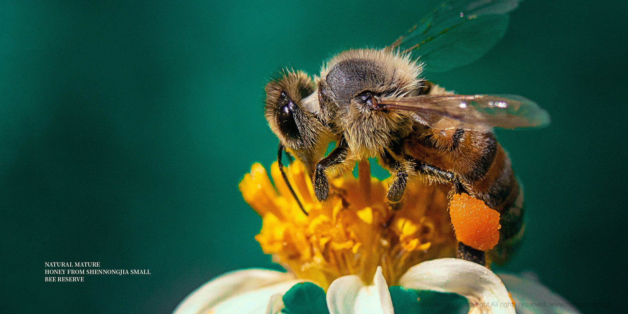 샞(yu)ʳƷbO(sh)Ӌ,YO(sh)Ӌ,߶ƷO(sh)Ӌ